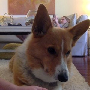 Meet your Posher, Amy